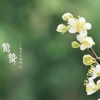 “惊蛰一到百虫闹”流行性疾病预防要做好